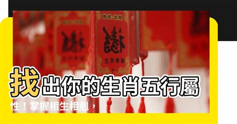 生肖陰陽|生肖陰陽屬性有不同的命運指向